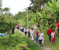 Brazilian Jungle  Island  International Service Learning Program NMC