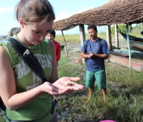 International Service Learning Program Crab Jungle Brazil Island